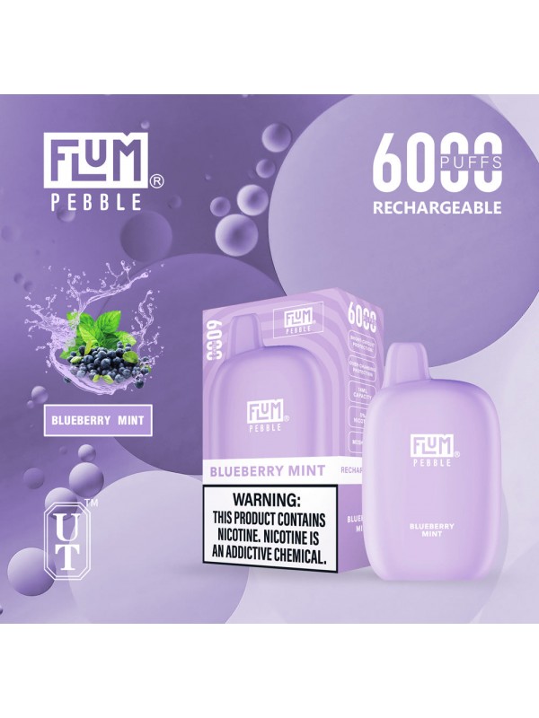 Flum Pebble 6000 Puff Disposable Vape Device