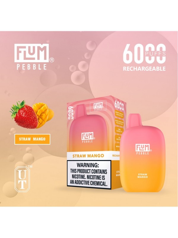 Flum Pebble 6000 Puff Disposable Vape Device