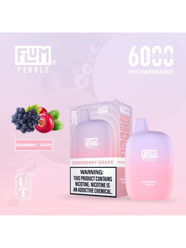 Flum Pebble 6000 Puff Disposable Vape Device